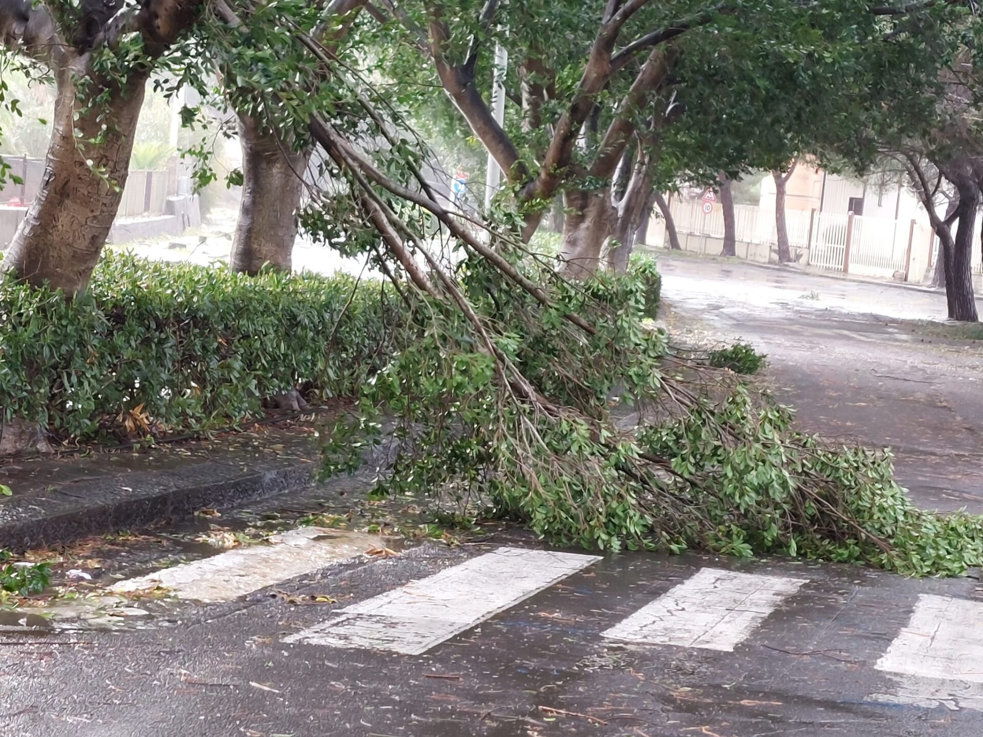Maltempo: nubifragi e vento, le vostre foto inviate a 95047.it