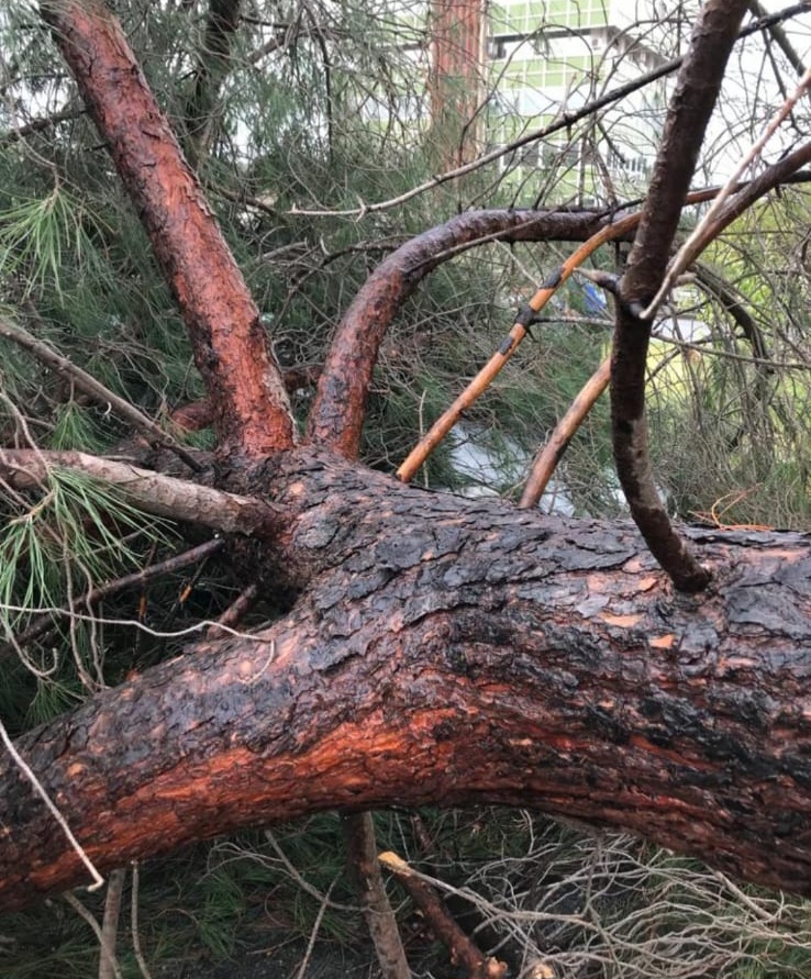 Maltempo: nubifragi e vento, le vostre foto inviate a 95047.it