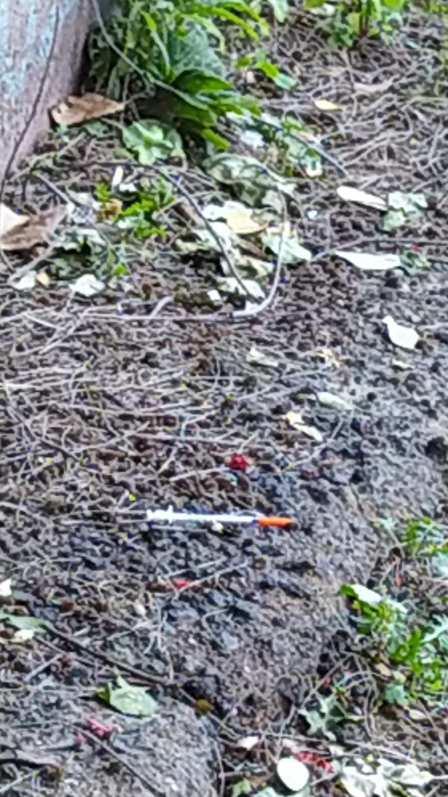 PATERNÓ. PIOGGIA' DI SIRINGHE BUTTATE A TERRA, LA SEGNALAZIONI DEI LETTORI