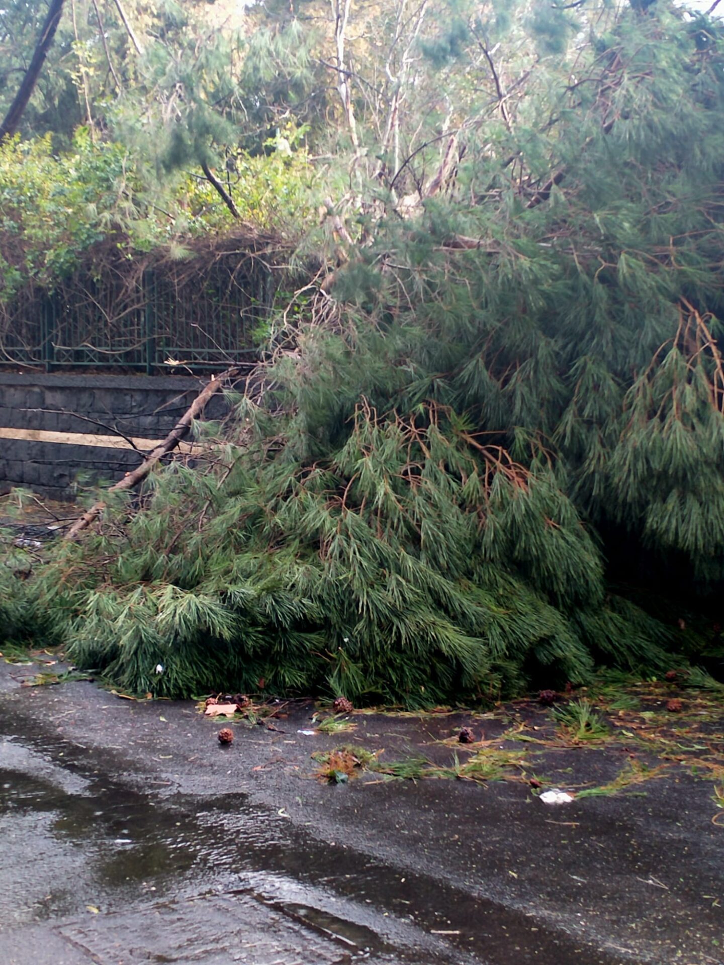 Maltempo: nubifragi e vento, le vostre foto inviate a 95047.it