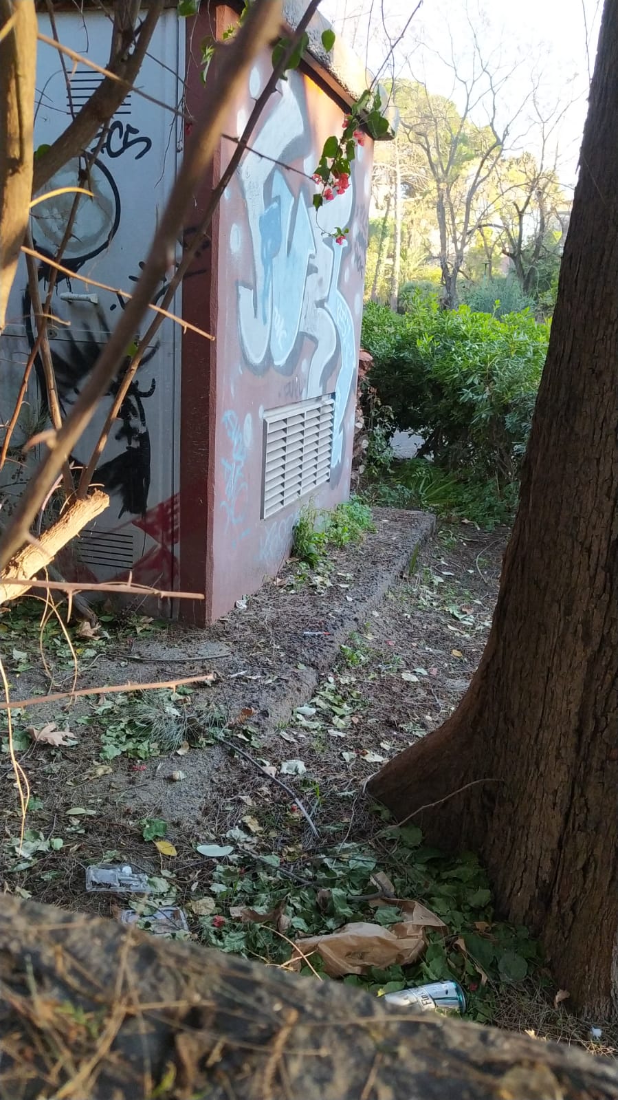 Paternó : Segnalazioni dei lettori