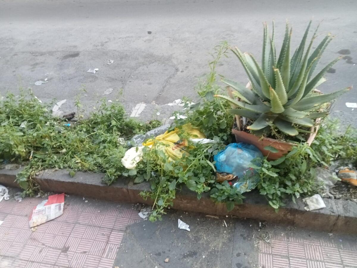 PATERNO'. VIA LUIGI RIZZO: LA SEGNALAZIONE DI UN LETTORE - 