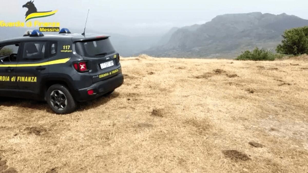 FRODE ALL’UNIONE EUROPEA NEL SETTORE AGRICOLO NEL TERRITORIO DEI NEBRODI PER OLTRE 600.000 EURO. SEQUESTRATI BENI PER 400.000 EURO. - 