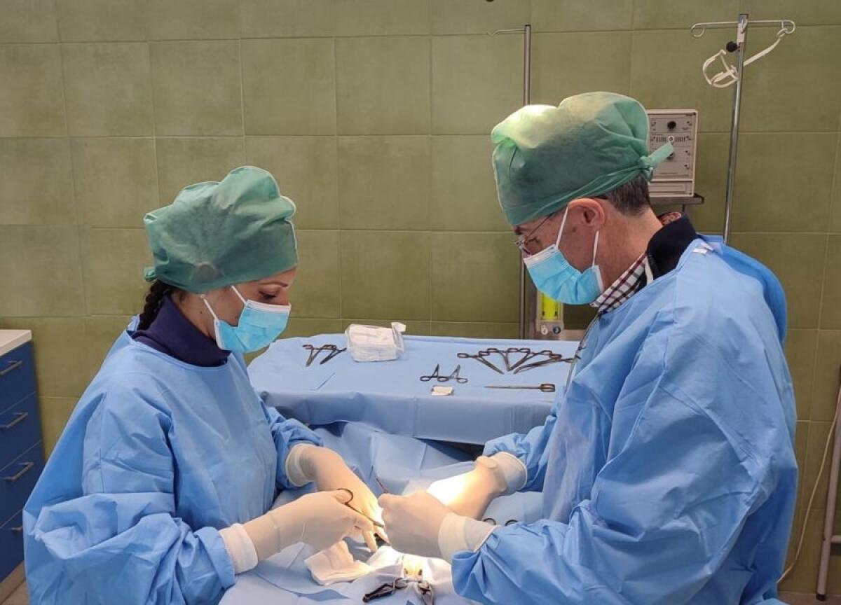 ASP DI CATANIA, RIPARTITA E A PIENO REGIME L’ATTIVITÀ DI STERILIZZAZIONE GRATUITA DI CANI E GATTI - 