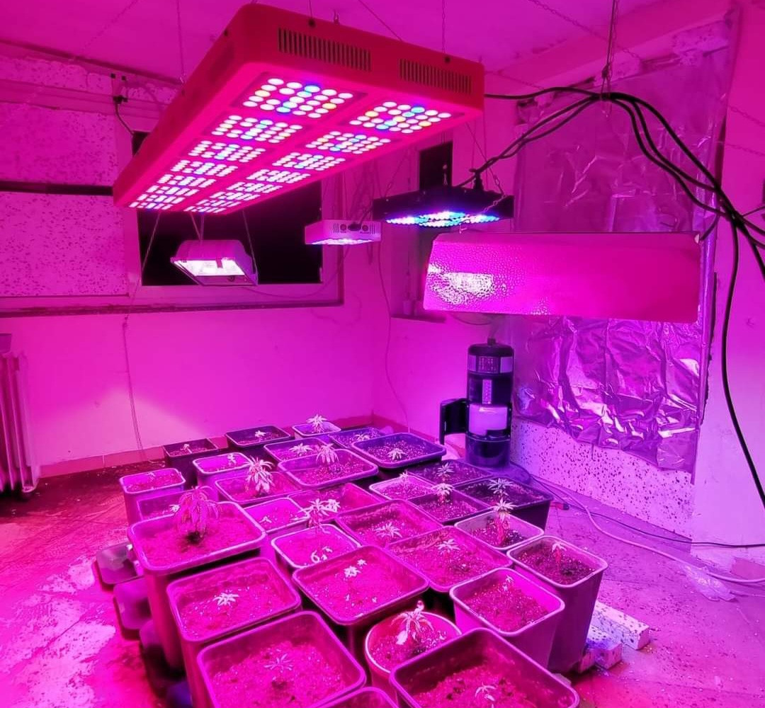 TORNA DOPO 10 ANNI NELLA SUA CASA RURALE DI ACIREALE E TROVA UNA SERRA DI CANNABIS