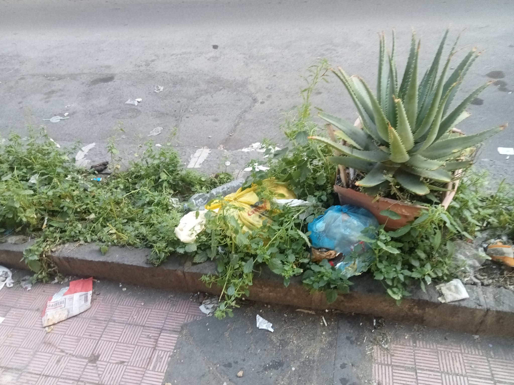 PATERNO'. VIA LUIGI RIZZO: LA SEGNALAZIONE DI UN LETTORE