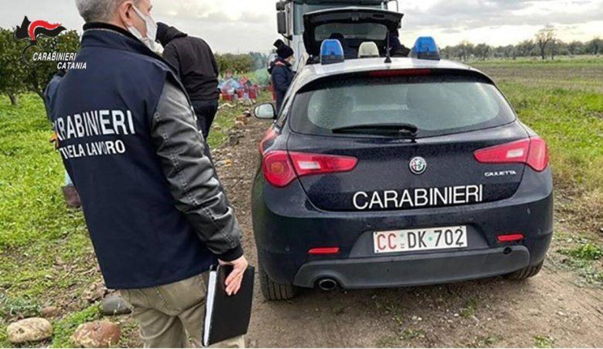 PATERNÒ: SFRUTTAVA STRANIERI CON TURNI ESTENUANTI E PAGHE DA FAME, ARRESTATO IMPRENDITORE AGRICOLO - 