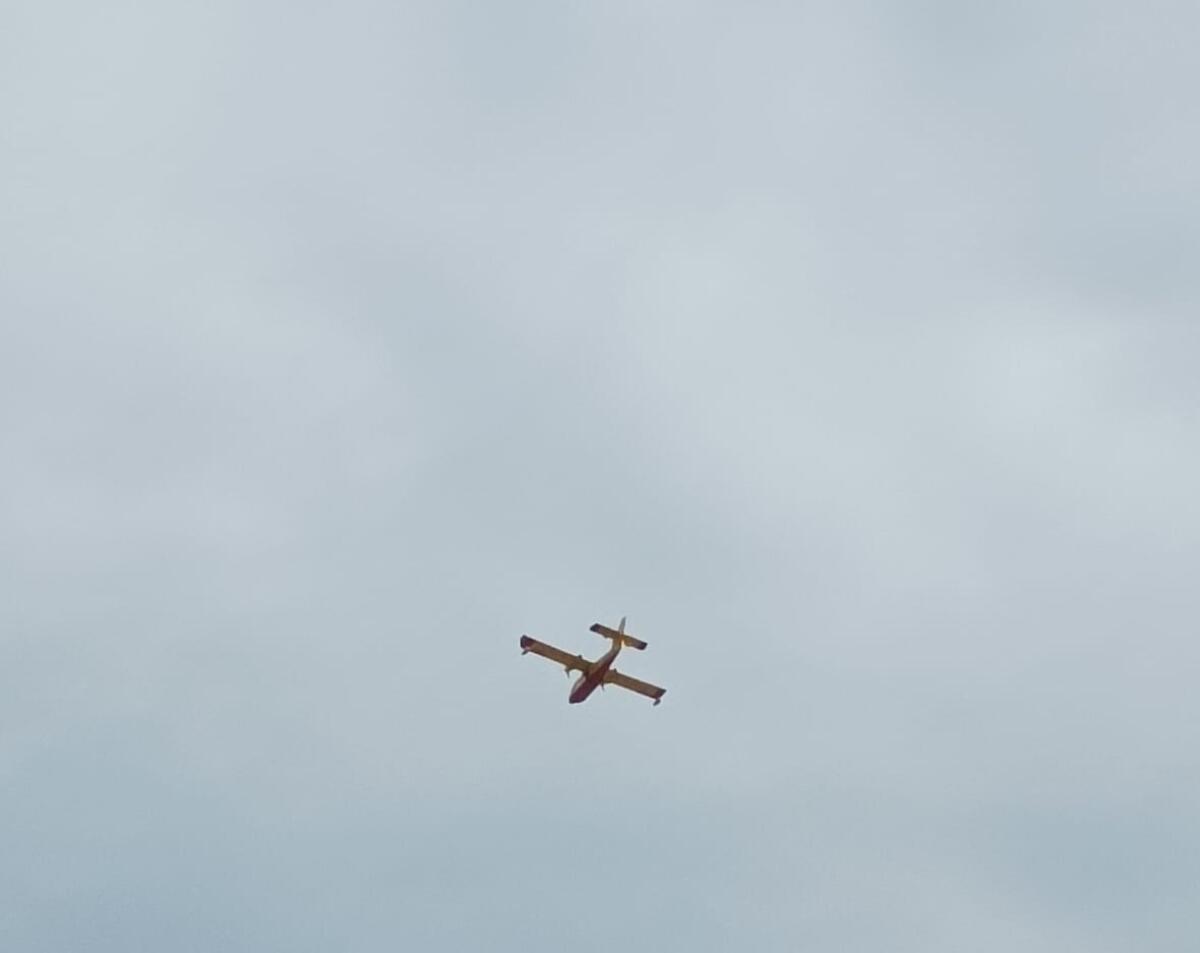 TRAGEDIA A CENTURIPE, DÀ FUOCO ALLE STERPAGLIE PER PULIRE IL SUO TERRENO MA MUORE AVVOLTO DALLE FIAMME - 