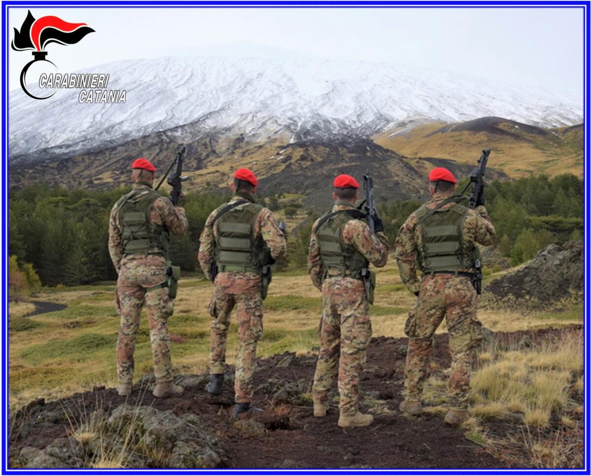 MAFIA DEI PASCOLI, ARMI E DROGA, LE ATTIVITA' DEI CACCIATORI DEI CARABINIERI - 