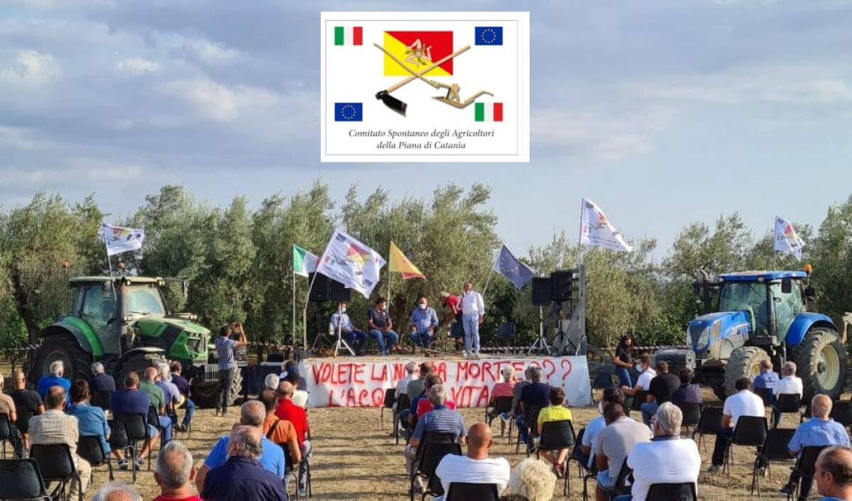 DISPERATO GRIDO DI ALLARME CHE PARTE DAL COMITATO  DEGLI AGRICOLTORI DELLA PIANA DI CATANIA - 
