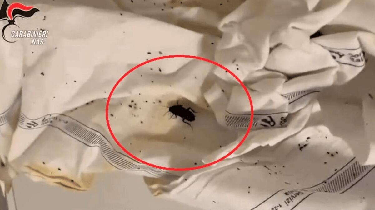 BLATTE ED ESCREMENTI TRA CIBI E STOVIGLIE: I NAS NELLE MENSE DEGLI OSPEDALI, CONTROLLI PURE A CATANIA - 