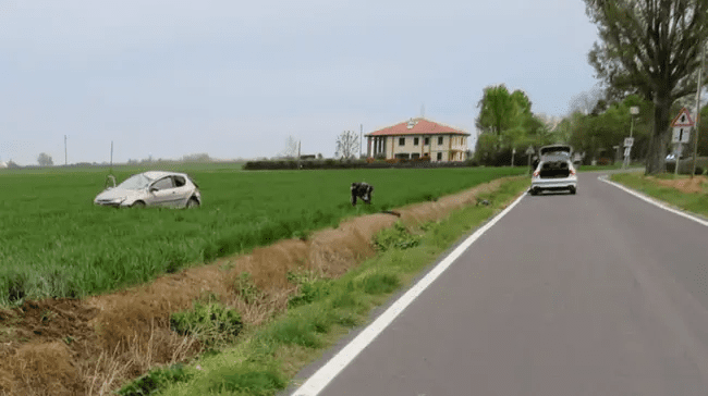 FOTO IL RESTO DEL CARLINO