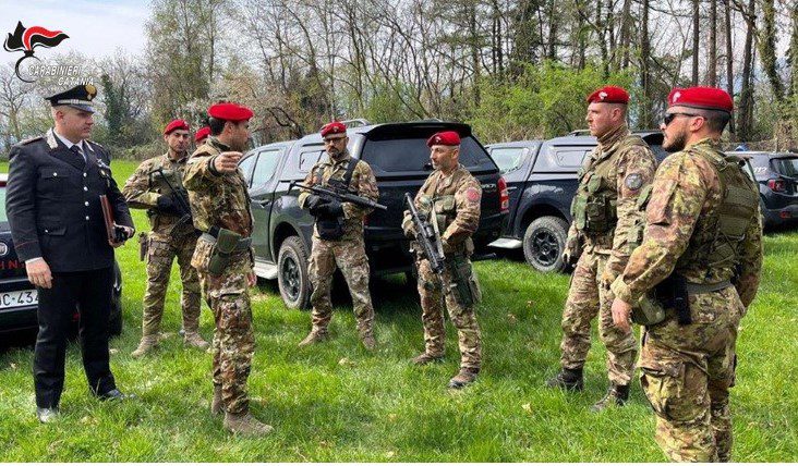 MAFIA DEI PASCOLI, ARMI E DROGA, LE ATTIVITA' DEI CACCIATORI DEI CARABINIERI