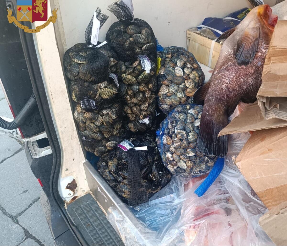 CATANIA, FURGONE PERDE LIQUIDO DAL VANO POSTERIORE: C’ERANO OLTRE 50 CHILI DI PESCE IN PESSIMO STATO DI CONSERVAZIONE - 