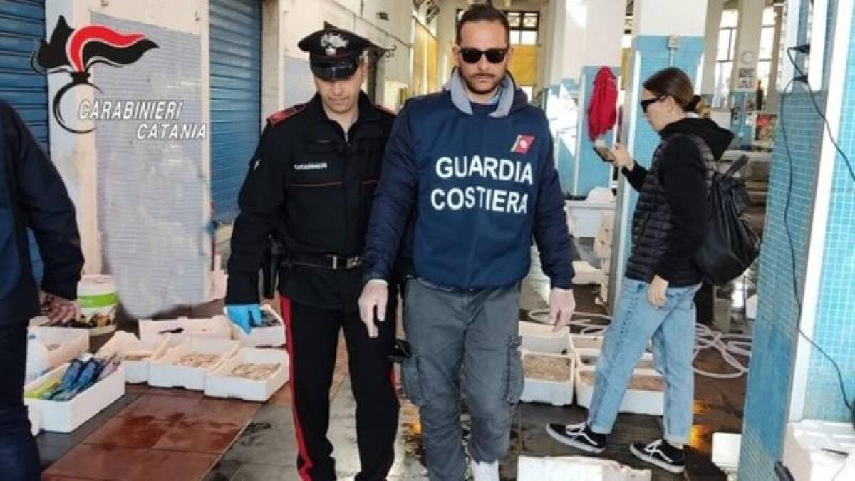 RIPOSTO, VENDEVA PESCATO E CROSTACEI ABUSIVAMENTE AL MERCATO ITTICO, 60ENNE DENUNCIATO - 