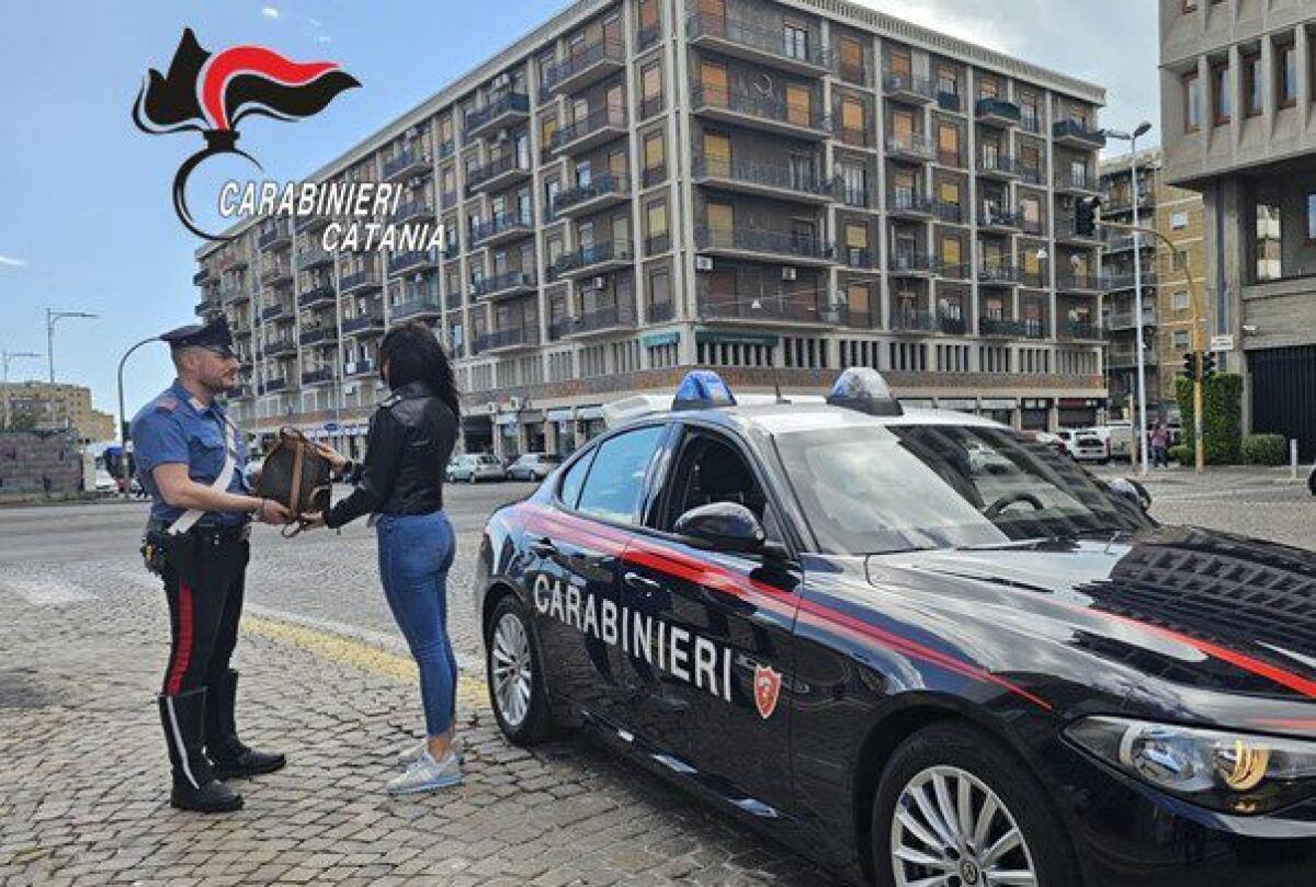 CATANIA: RAPINA LA BORSA A UNA GIOVANE DONNA IN CENTRO STORICO, ARRESTATO - 