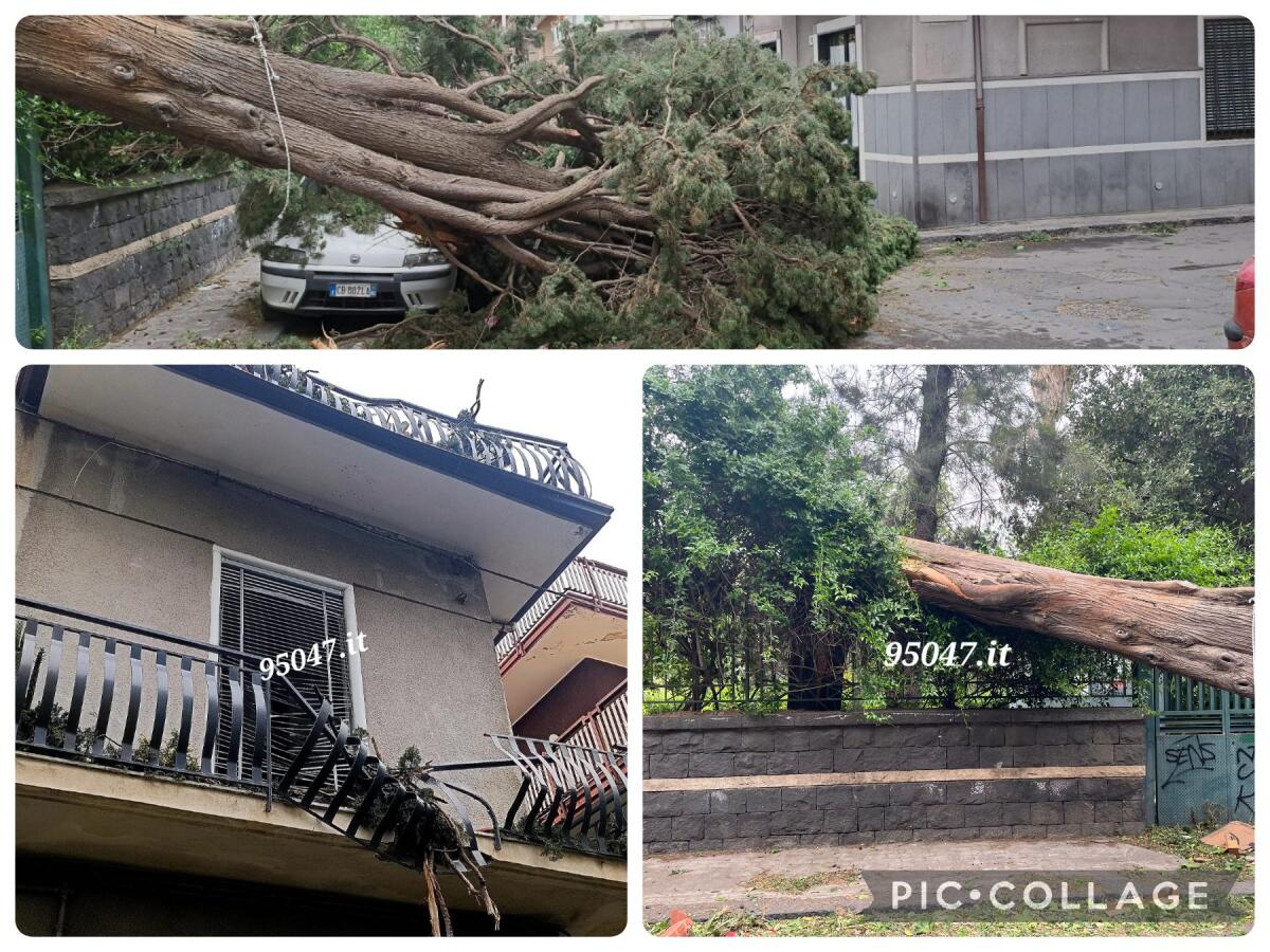 FILO DIRETTO. MALTEMPO E FORTE VENTO: LE VOSTRE FOTO E SEGNALAZIONI ALLA REDAZIONE - 