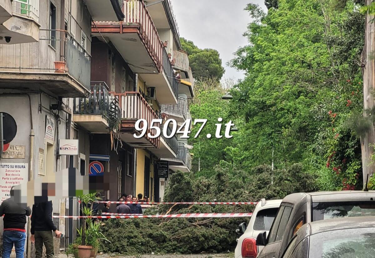 MALTEMPO NEL CATANESE, OLTRE 40 INTERVENTI EFFETTUATI DAI VIGILI DEL FUOCO - 