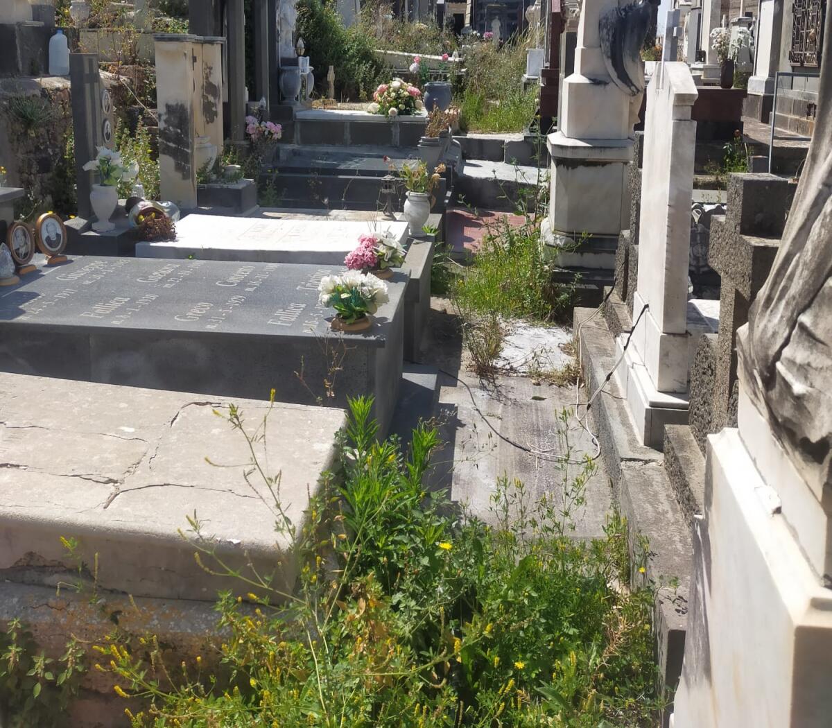 PATERNÒ: DEGRADO AL CIMITERO – RICEVIAMO  E PUBBLICHIAMO  SEGNALAZIONE DI UN NOSTRO LETTORE - 