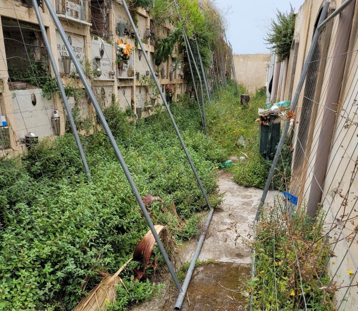PATERNÒ. CIMITERO ECCO L'ENNESIMA SEGNALAZIONE DI UN CITTADINO. FOTO - 