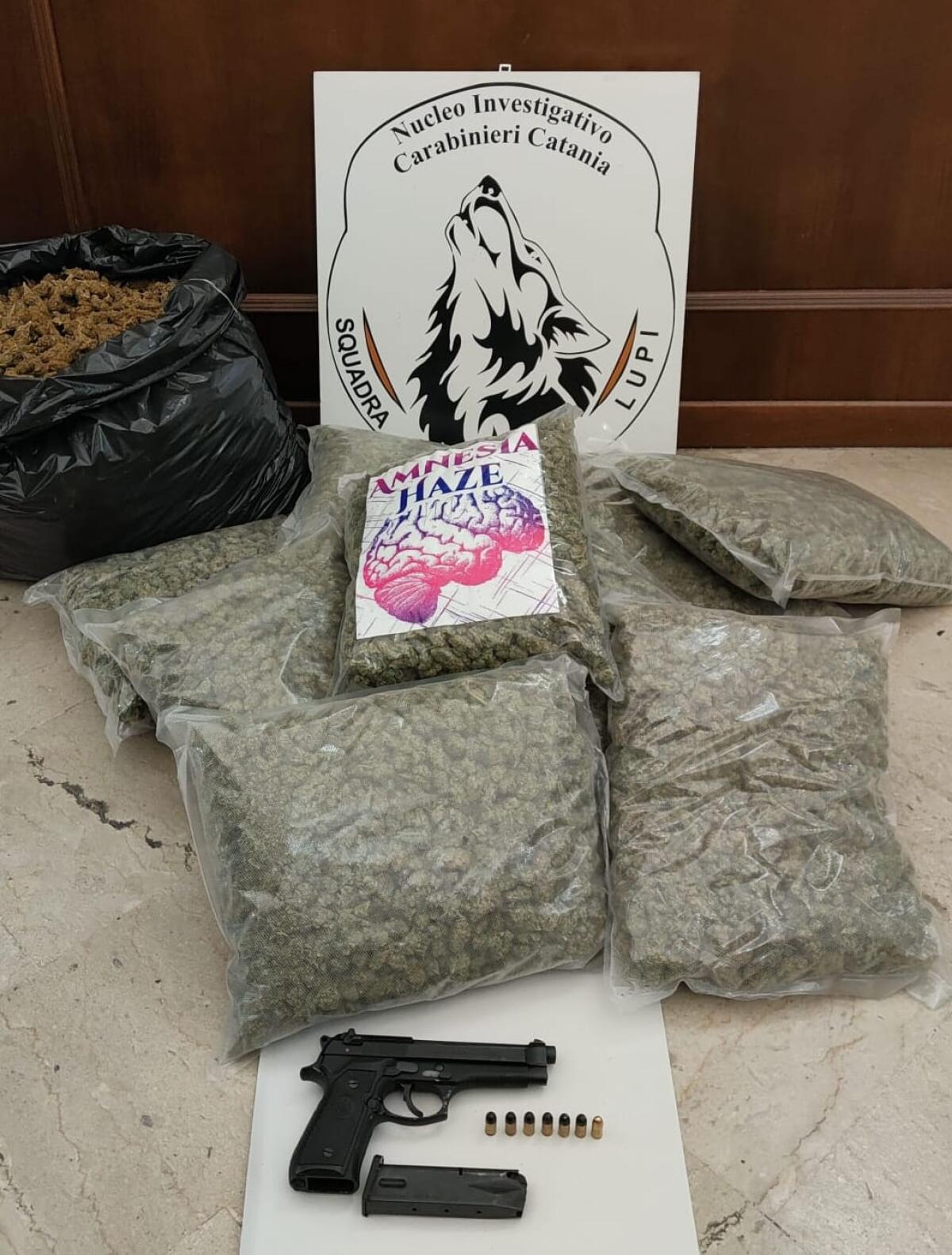 CATANIA. ARRESTATO UN 25ENNE TROVATO CON UNA PISTOLA E CON 13,5 KG DI MARIJUANA A CASA - 