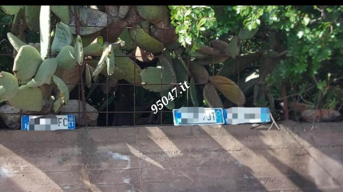 IL MALTEMPO STRAPPA VIA ANCHE LE TARGHE, SI CERCANO I TITOLARI - 