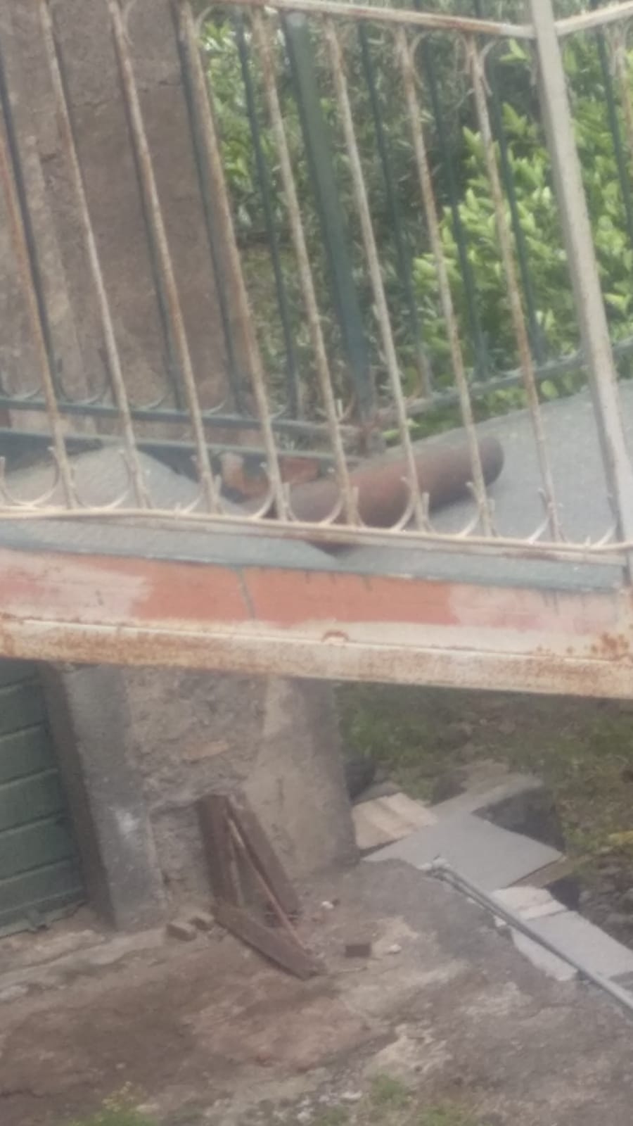 PATERNO’; IL MALTEMPO PROVOCA ENORMI DANNI VVF AL LAVORO. TRAGEDIA SFIORATA IN VIA DELLA LIBERTA' -LE FOTO