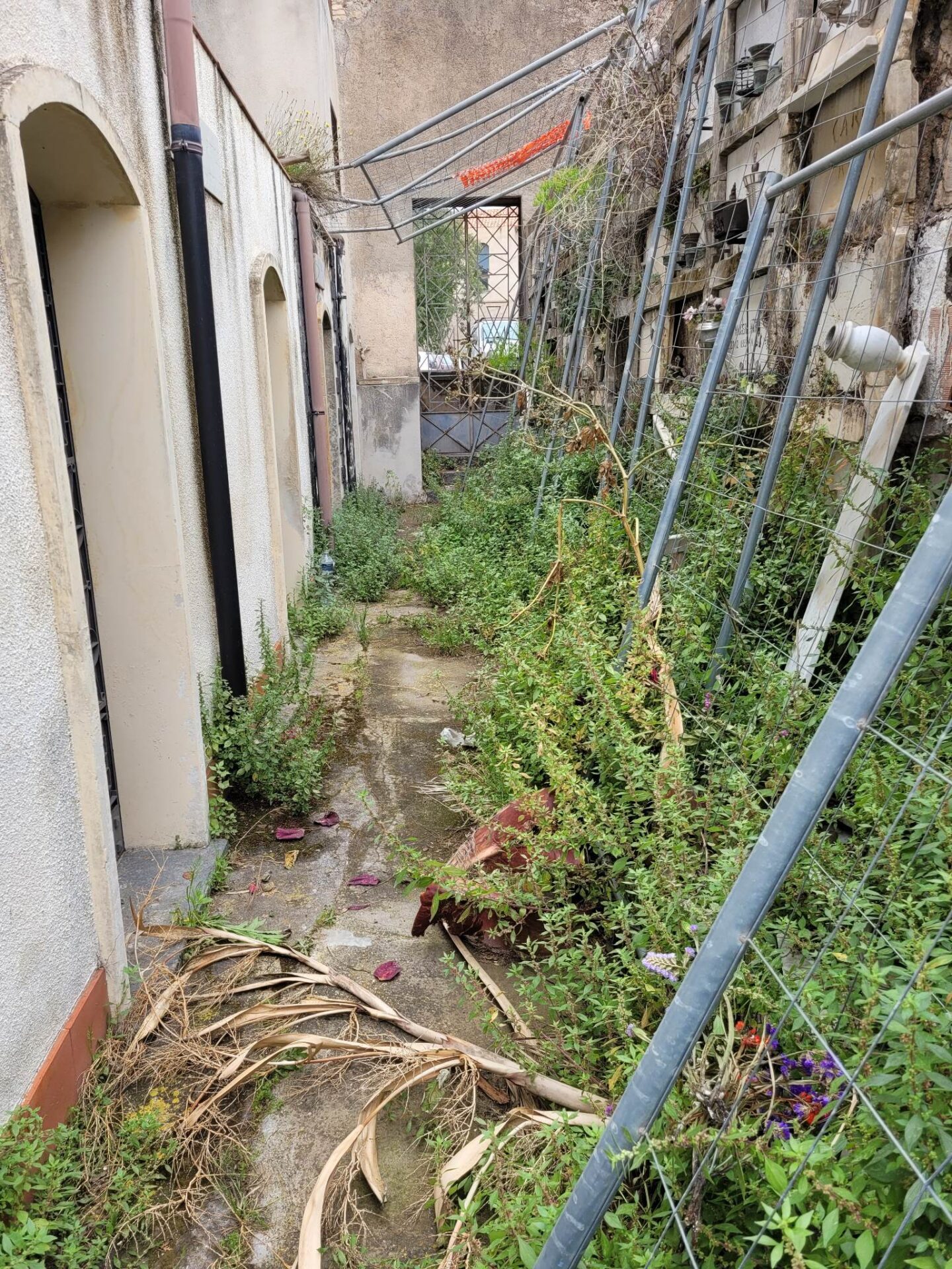 PATERNÒ. CIMITERO ECCO L'ENNESIMA SEGNALAZIONE DI UN CITTADINO. FOTO