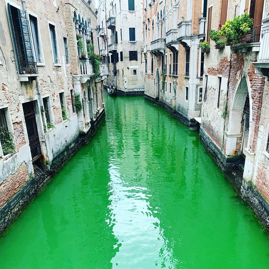 VENEZIA, L’ACQUA DEL CANAL GRANDE DIVENTA VERDE FOSFORESCENTE