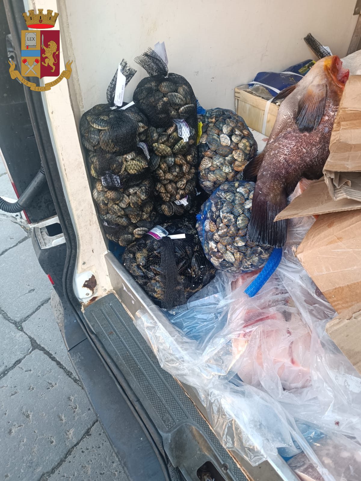 CATANIA, FURGONE PERDE LIQUIDO DAL VANO POSTERIORE: C’ERANO OLTRE 50 CHILI DI PESCE IN PESSIMO STATO DI CONSERVAZIONE