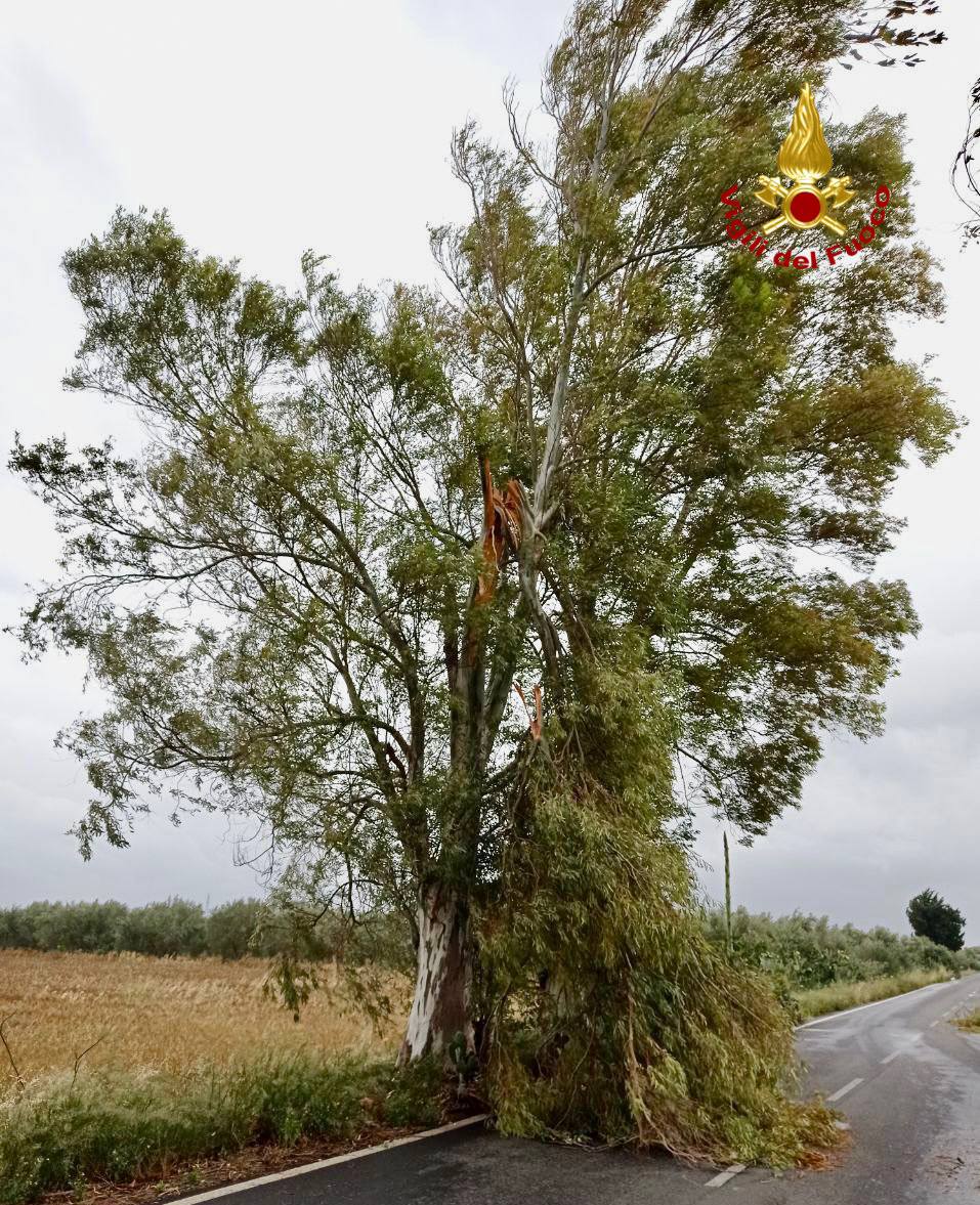 PATERNO’; IL MALTEMPO PROVOCA ENORMI DANNI VVF AL LAVORO. TRAGEDIA SFIORATA IN VIA DELLA LIBERTA' -LE FOTO
