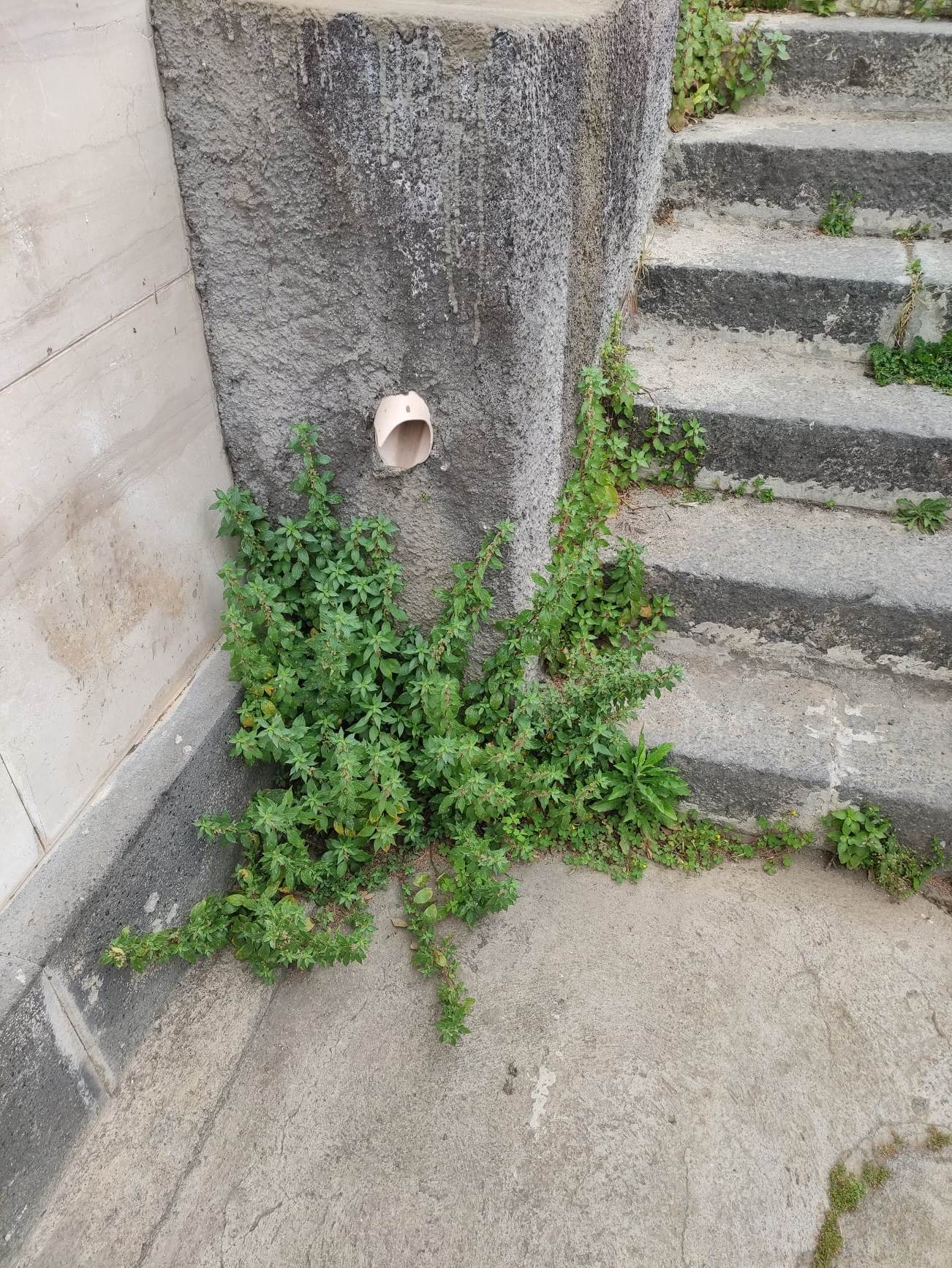 PATERNÒ: DEGRADO AL CIMITERO – LA SEGNALAZIONE DI UN NOSTRO LETTORE