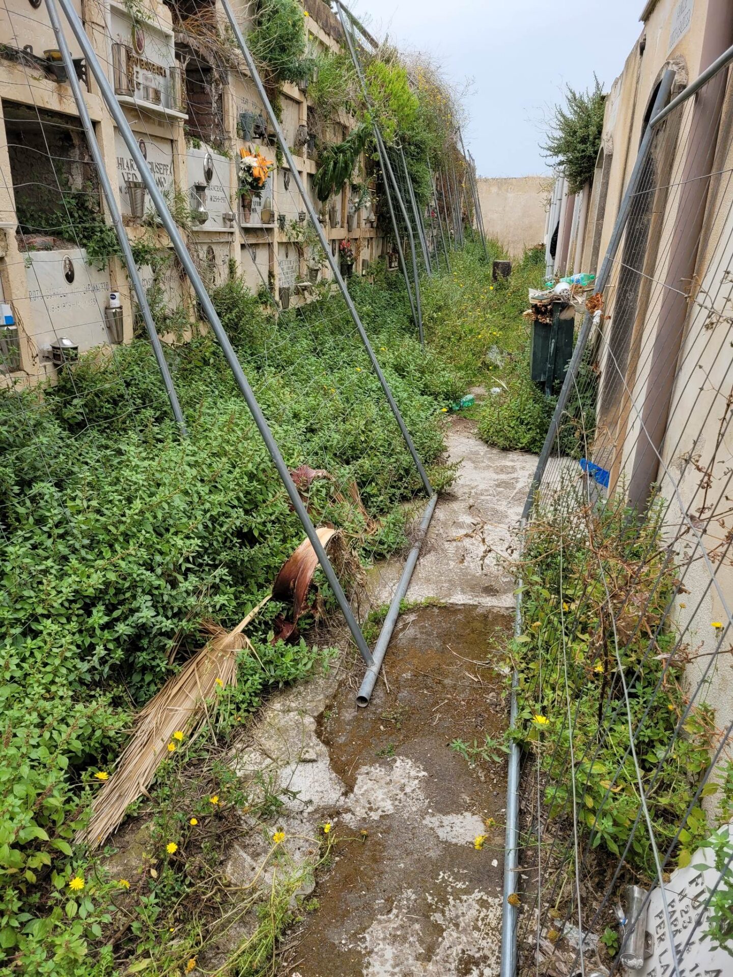 PATERNÒ. CIMITERO ECCO L'ENNESIMA SEGNALAZIONE DI UN CITTADINO. FOTO