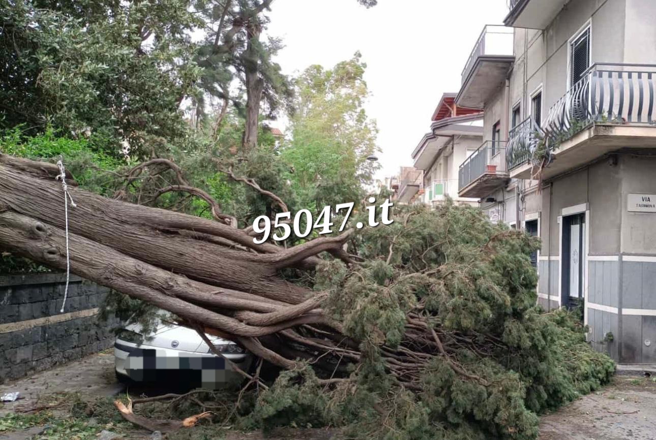 PATERNO’; IL MALTEMPO PROVOCA ENORMI DANNI VVF AL LAVORO. TRAGEDIA SFIORATA IN VIA DELLA LIBERTA' -LE FOTO