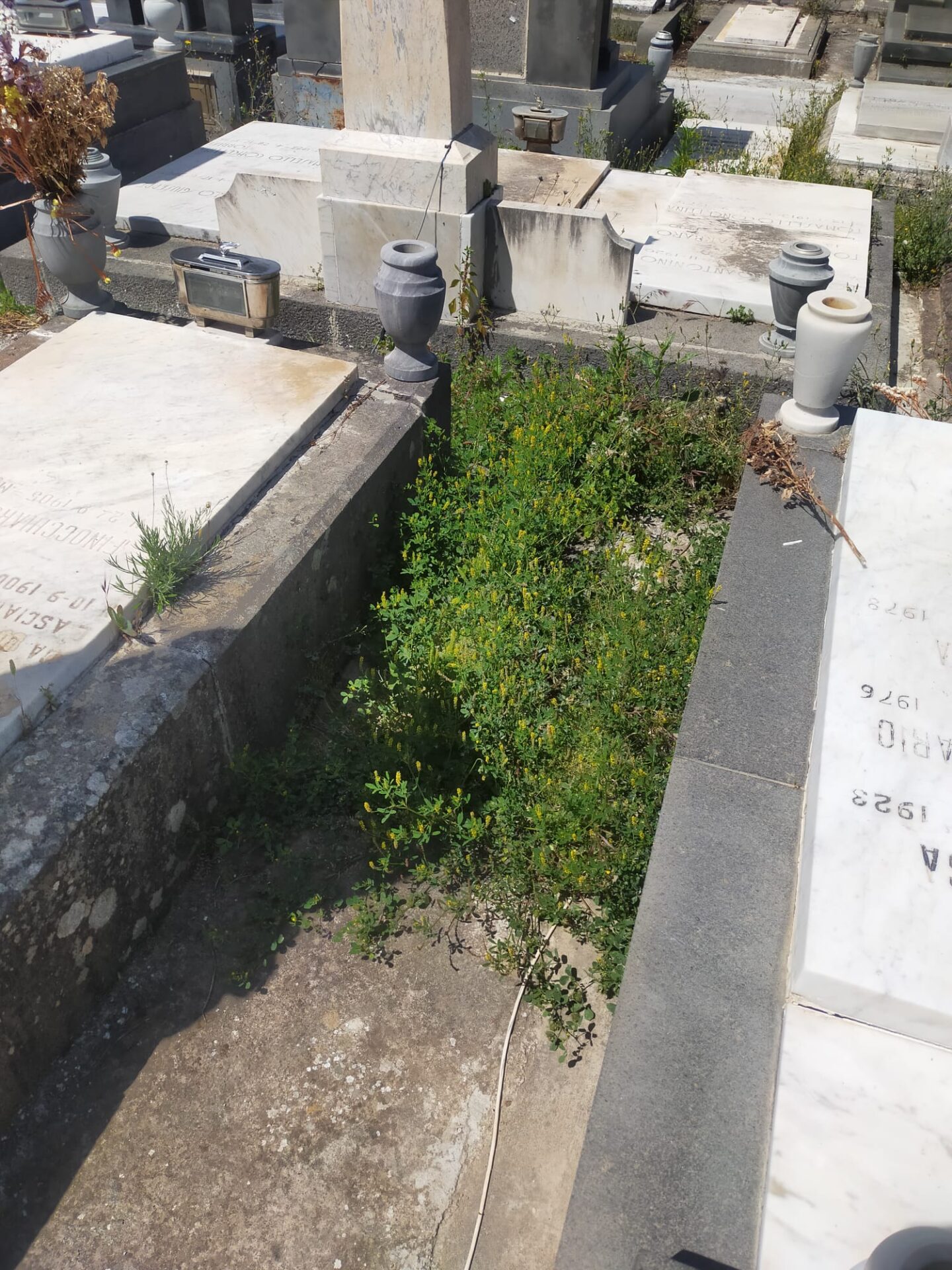 PATERNÒ: DEGRADO AL CIMITERO – RICEVIAMO  E PUBBLICHIAMO  SEGNALAZIONE DI UN NOSTRO LETTORE