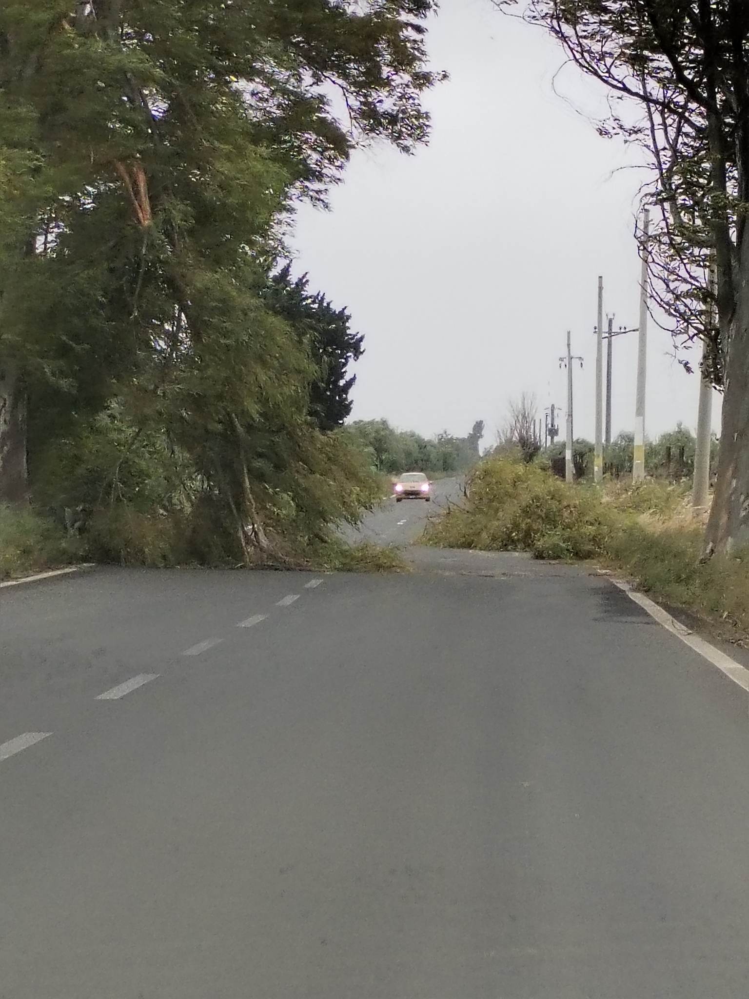PATERNO’; IL MALTEMPO PROVOCA ENORMI DANNI VVF AL LAVORO. TRAGEDIA SFIORATA IN VIA DELLA LIBERTA' -LE FOTO