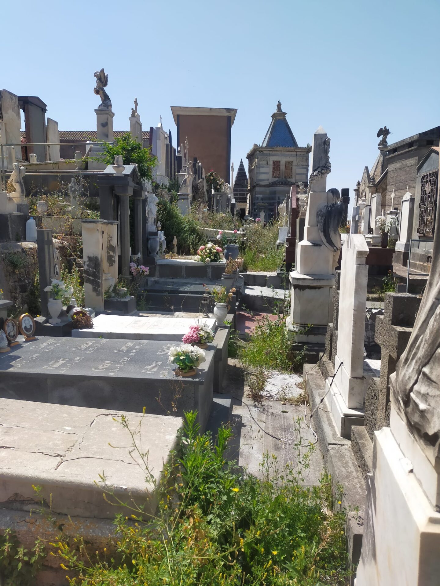 PATERNÒ: DEGRADO AL CIMITERO – RICEVIAMO  E PUBBLICHIAMO  SEGNALAZIONE DI UN NOSTRO LETTORE