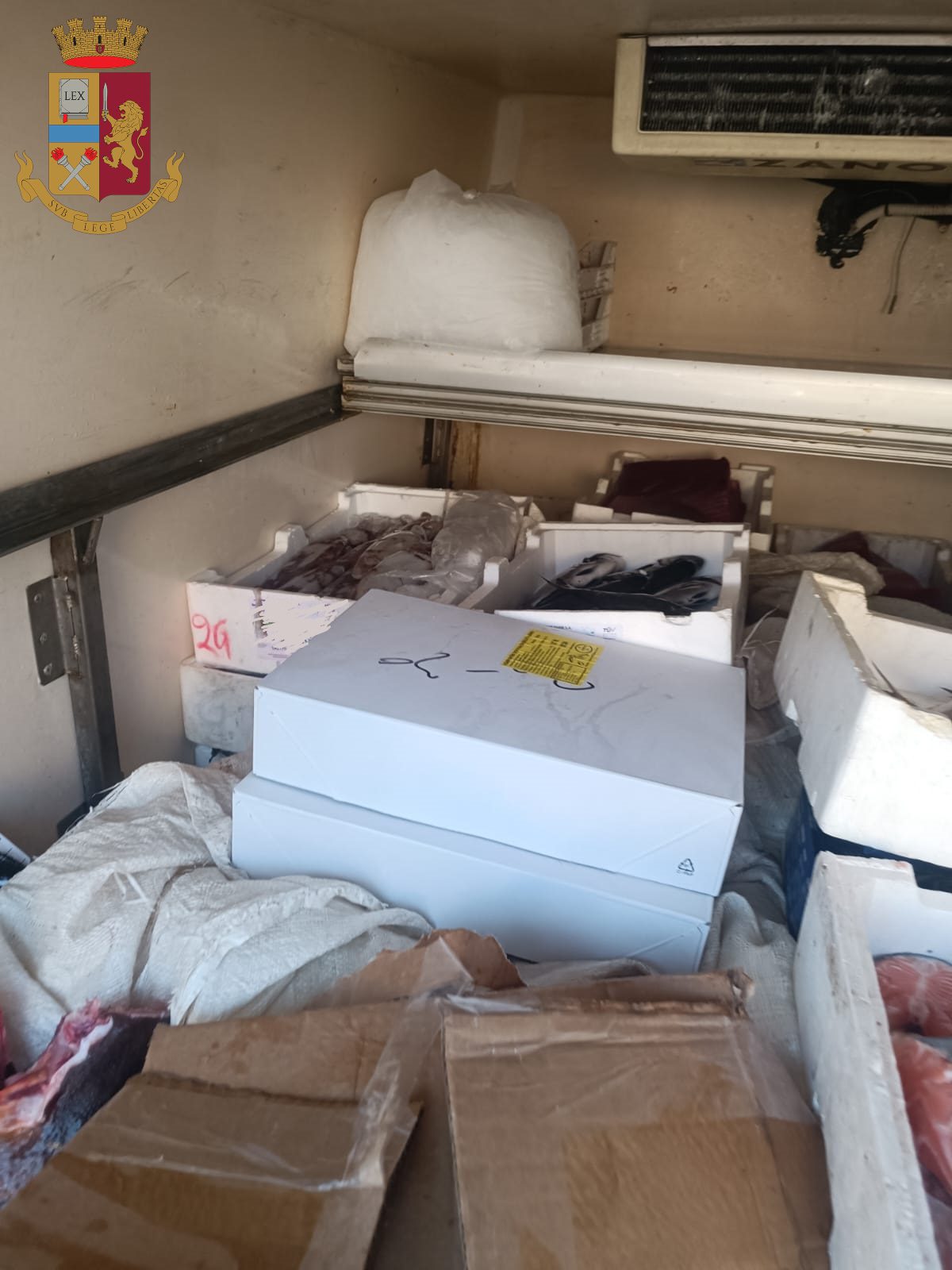 CATANIA, FURGONE PERDE LIQUIDO DAL VANO POSTERIORE: C’ERANO OLTRE 50 CHILI DI PESCE IN PESSIMO STATO DI CONSERVAZIONE