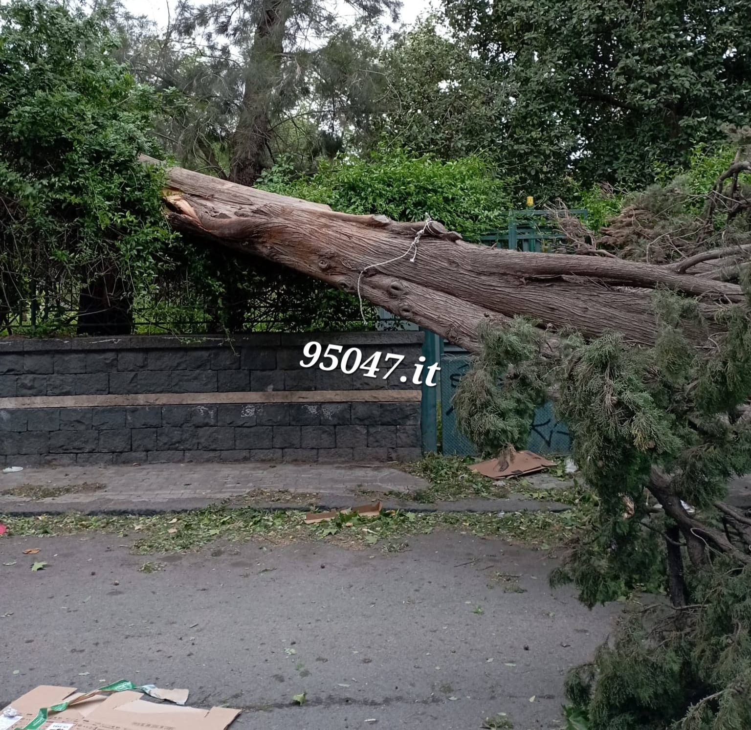 PATERNO’; IL MALTEMPO PROVOCA ENORMI DANNI VVF AL LAVORO. TRAGEDIA SFIORATA IN VIA DELLA LIBERTA' -LE FOTO