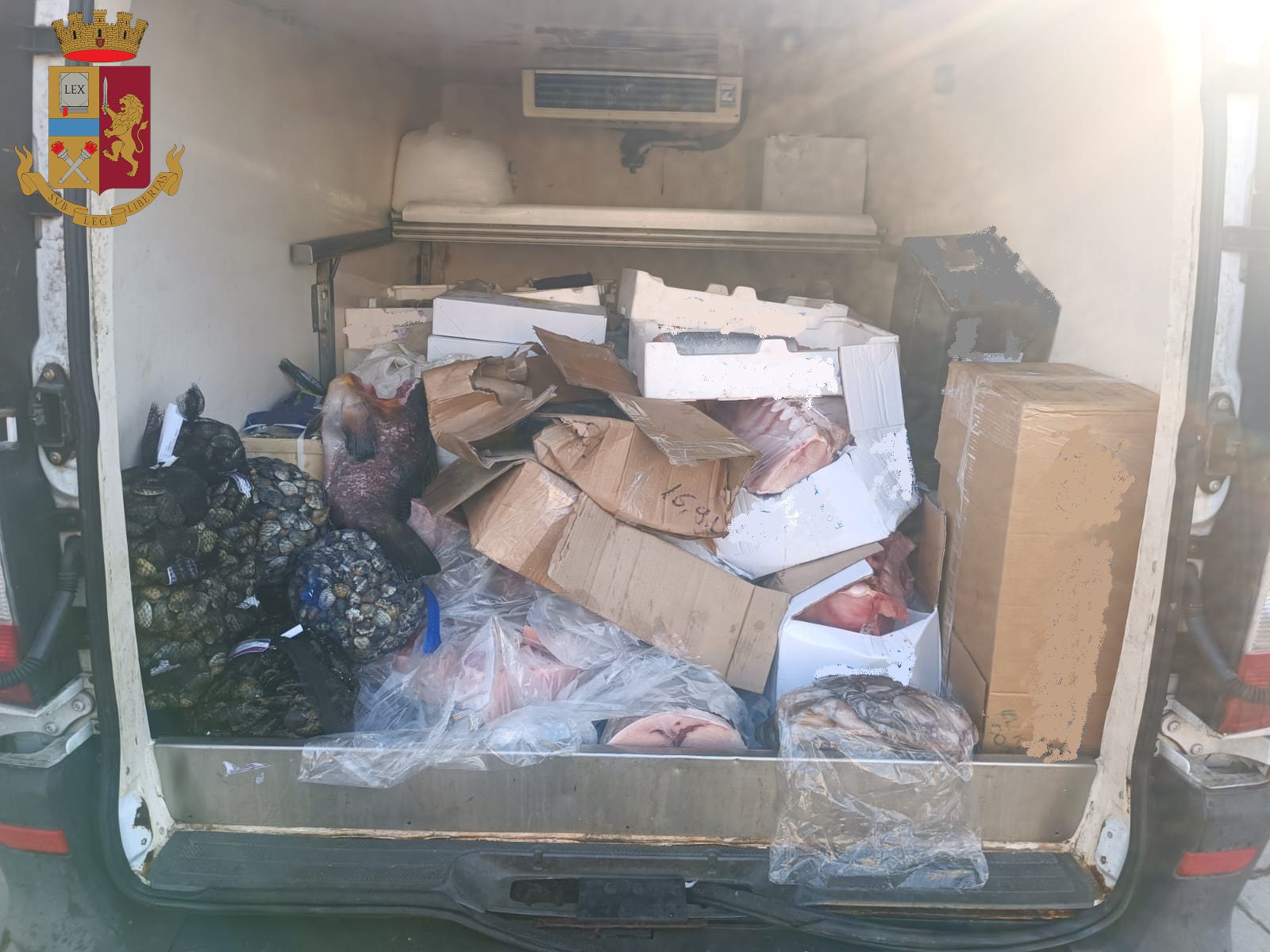 CATANIA, FURGONE PERDE LIQUIDO DAL VANO POSTERIORE: C’ERANO OLTRE 50 CHILI DI PESCE IN PESSIMO STATO DI CONSERVAZIONE