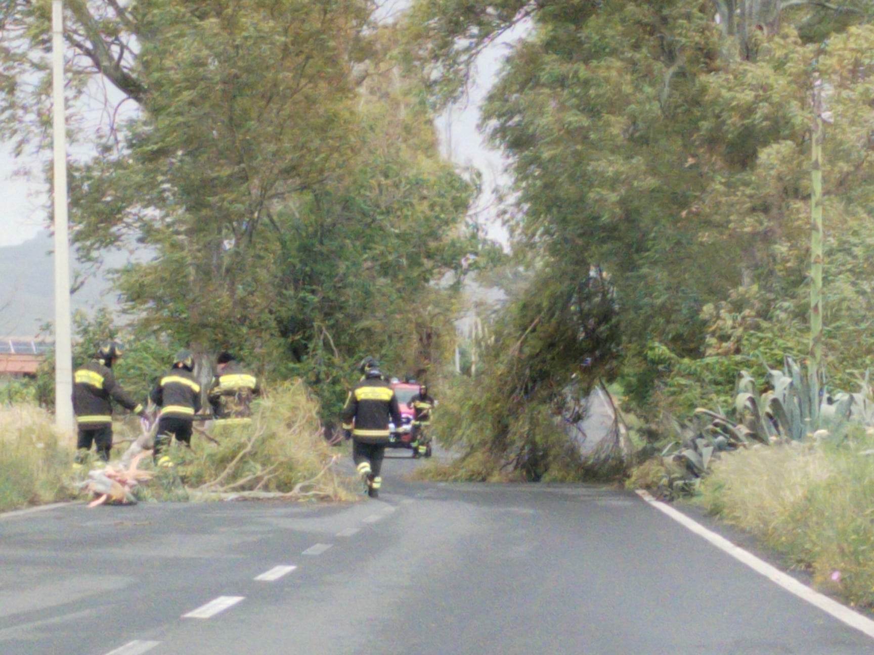 PATERNO’; IL MALTEMPO PROVOCA ENORMI DANNI VVF AL LAVORO. TRAGEDIA SFIORATA IN VIA DELLA LIBERTA' -LE FOTO