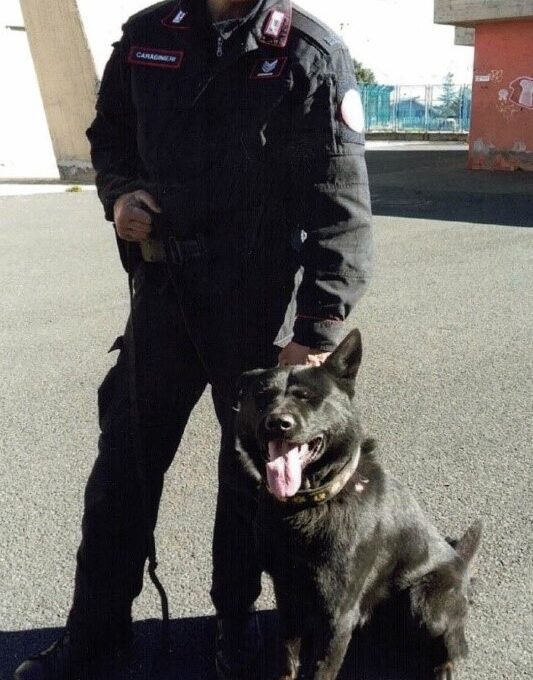NICOLOSI. CARABINIERI CINOFILI IN LUTTO PER LA PERDITA DEL CANE "DON"