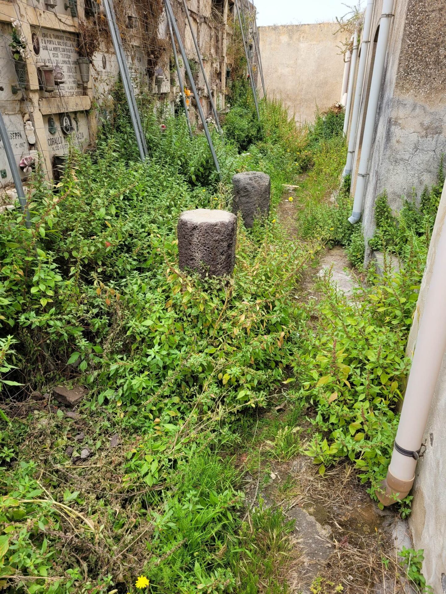 PATERNÒ. CIMITERO ECCO L'ENNESIMA SEGNALAZIONE DI UN CITTADINO. FOTO