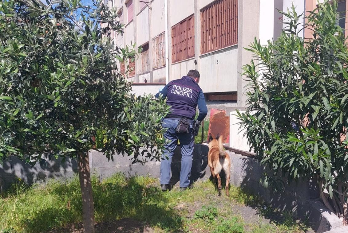 CATANIA. RINVENUTE E SEQUESTRATE  2 PISTOLE E UN FUCILE, OCCULTATI DA UNA PIETRA DI UN “MURO A SECCO”