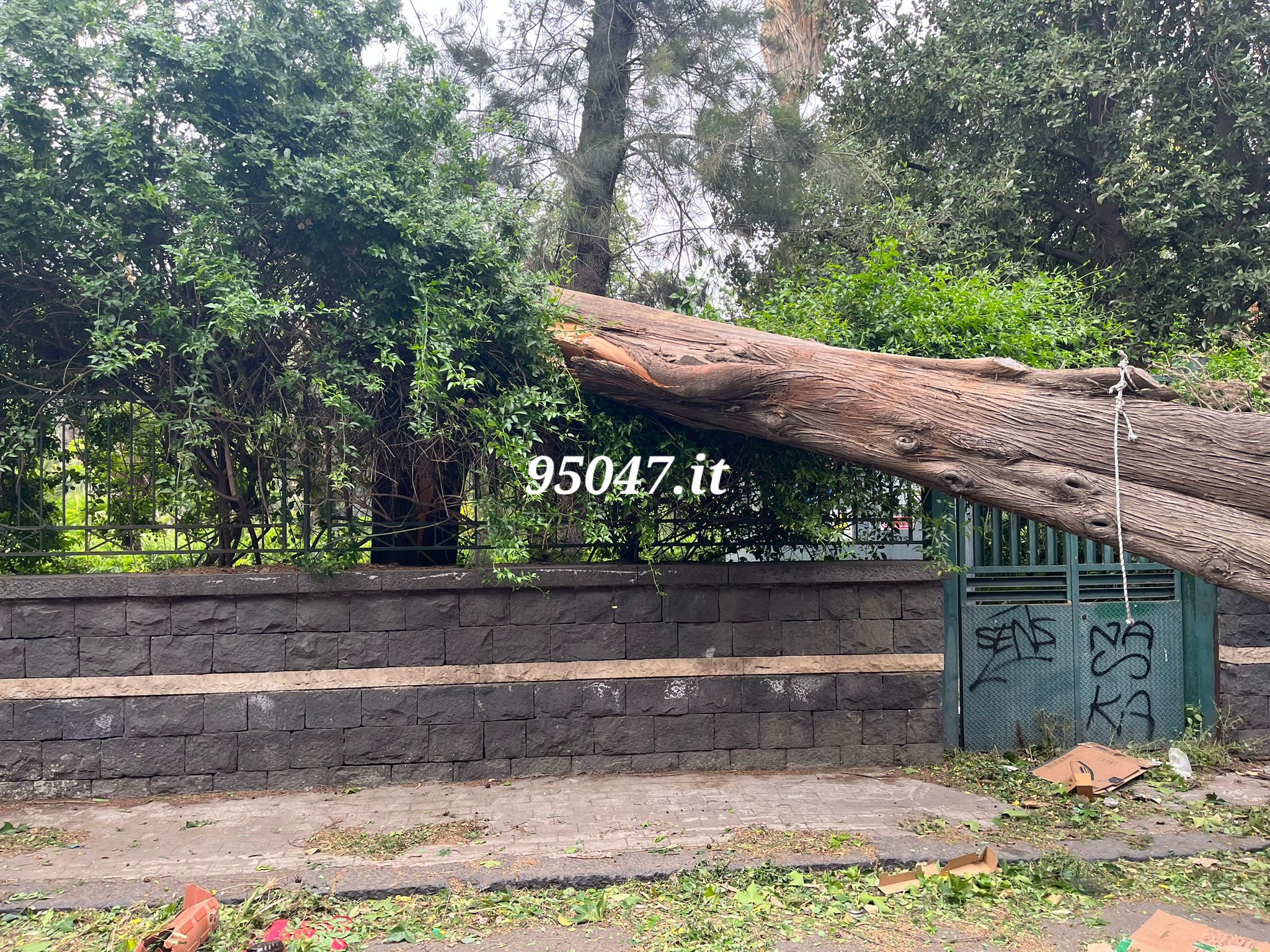 PATERNO' VIA LIBERTA'