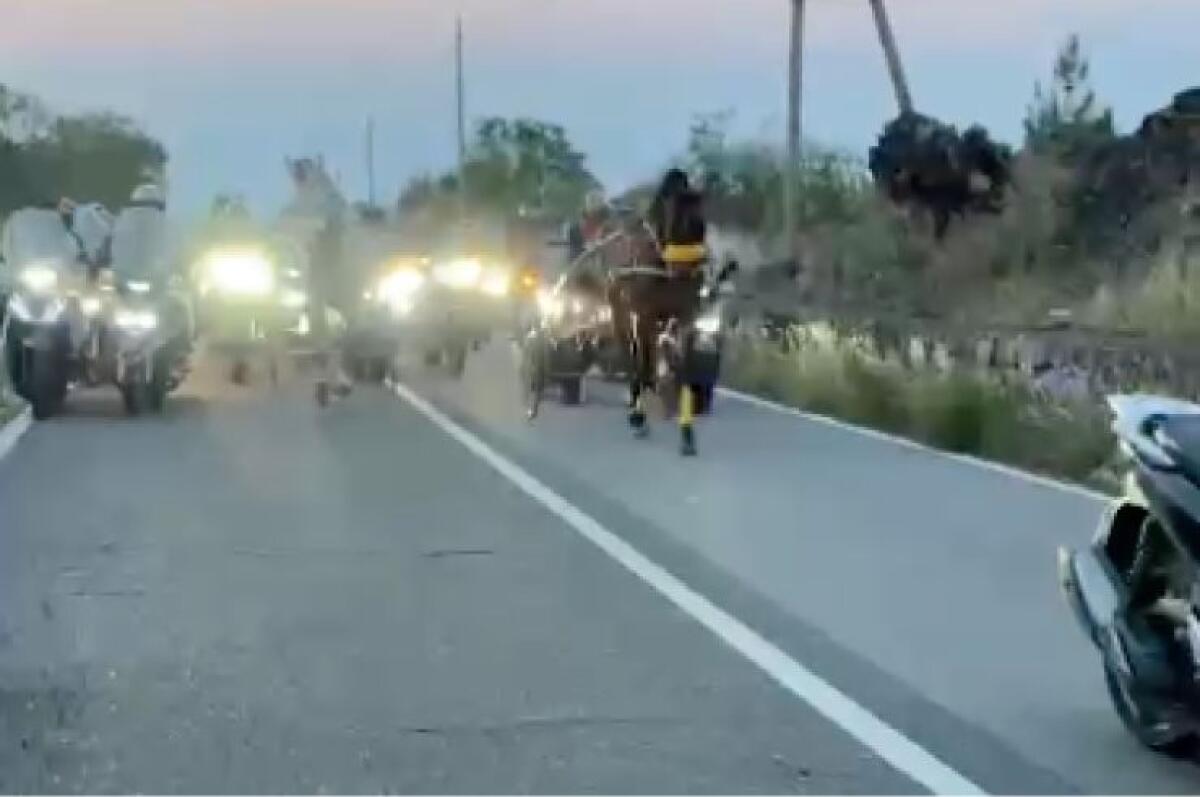 GARA CLANDESTINA DI CAVALLI TRA RAGALNA E NICOLOSI,  GIRO DI SCOMMESSE DA 120.000 EURO - 