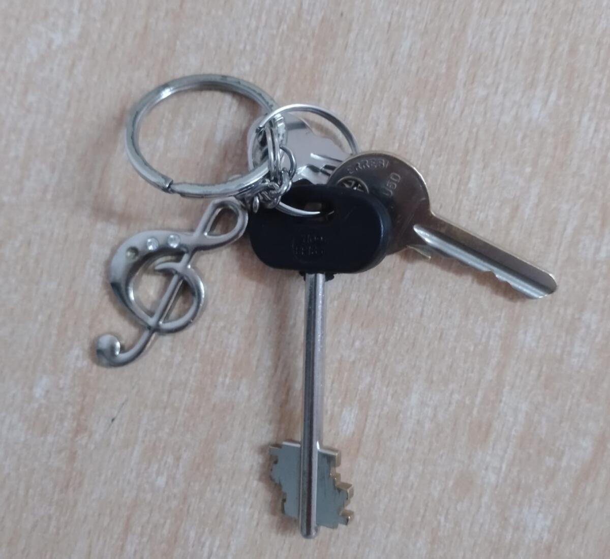 PATERNO’. RITROVATO QUESTO MAZZO DI CHIAVI - 