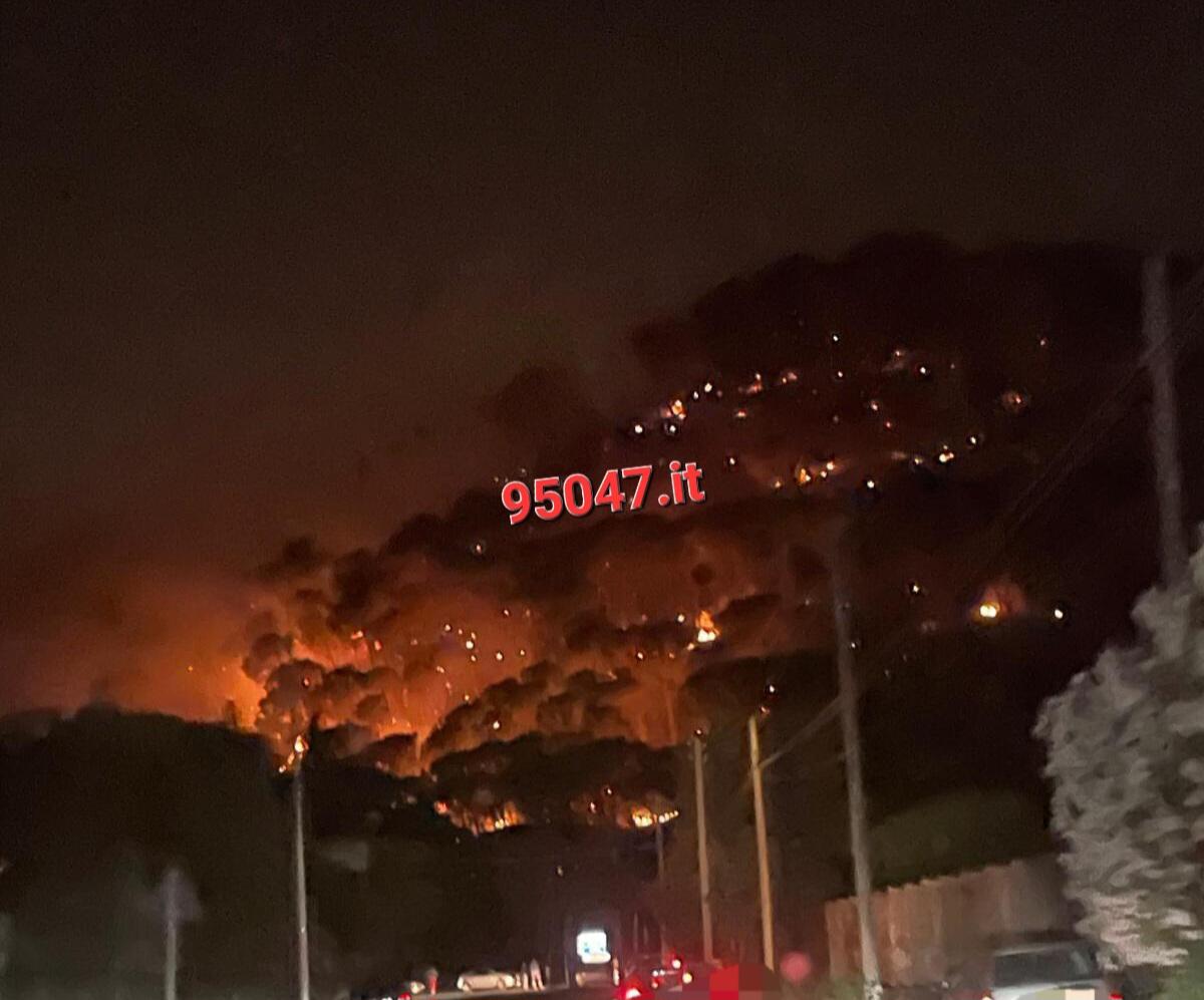 CONTINUANO A BRUCIARE I MONTI ROSSI A NICOLOSI A FUOCO: ADDIO PINETA - 