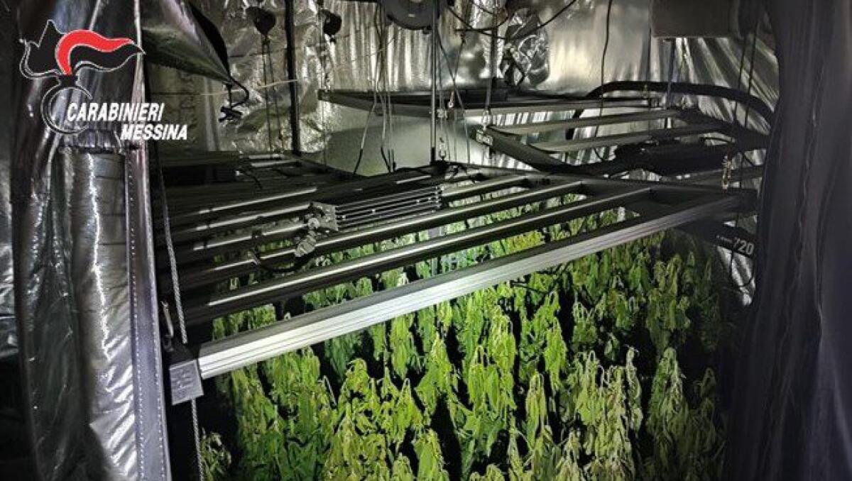 GIARDINI NAXOS. IN­TER­VE­NU­TI IN UN’A­BI­TA­ZIO­NE IN FIAM­ME, TRO­VA­NO AL­L’IN­TER­NO UNA SER­RA PER LA COL­TI­VA­ZIO­NE DI MA­RI­JUA­NA AR­RE­STA­TO UN 24EN­NE - 