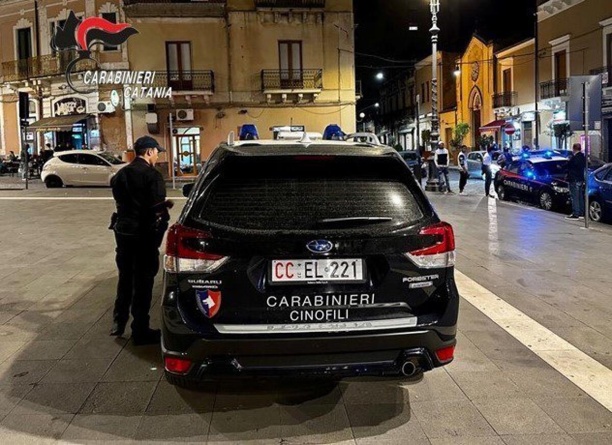 PATERNÒ E BIANCAVILLA (CT). CONTROLLI DEI CARABINIERI SEGNALATI 3 RAGAZZI IN POSSESSO DI MARIJUANA - 